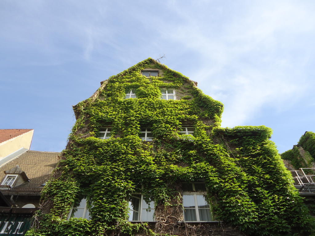 Am Ratshof Hotel Halle  Exterior foto